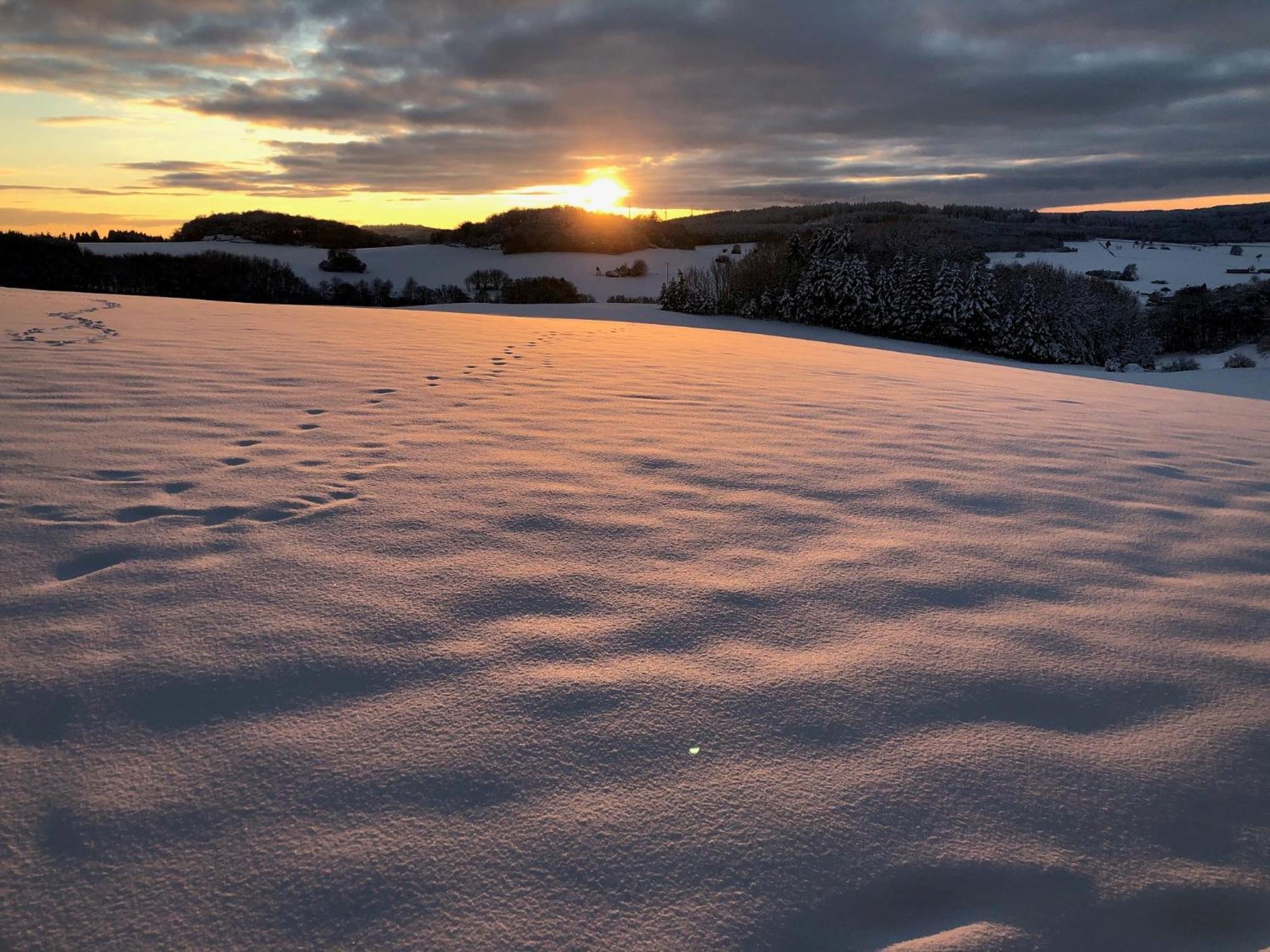 Eifel Panoramablick Leilighet Kelberg Eksteriør bilde